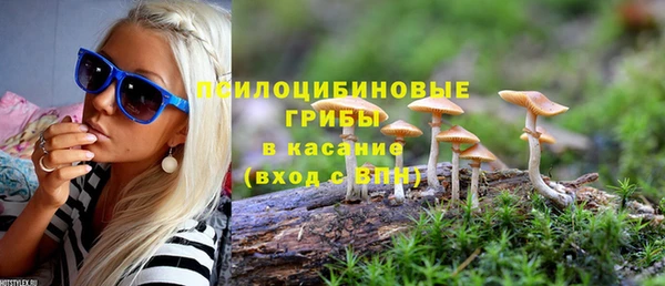 ПСИЛОЦИБИНОВЫЕ ГРИБЫ Алексин