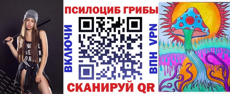 где продают   Чаплыгин  Псилоцибиновые грибы мицелий 